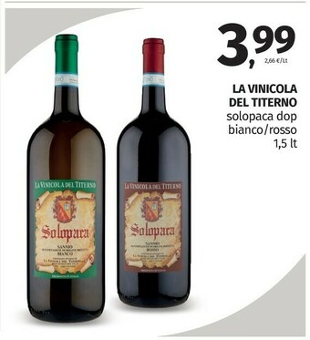 Solopaca Vino