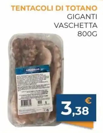 Amarras Tentacoli di Totano Giganti Vaschetta 800 g