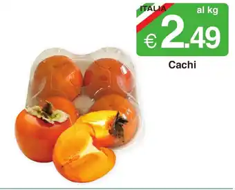 Cachi