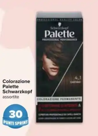 Carrefour Schwarzkopf Palette Colorazione offerta