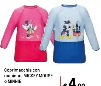 Iper La Grande Coprimacchia Con Maniche, Mickey Mouse O Minnie offerta