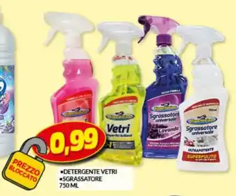 Risparmio Casa Risparmio Casa Detergente Vetri/ Sgrassatore 750 ml offerta
