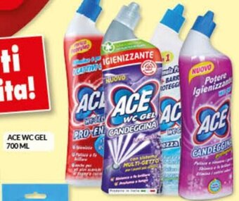 Risparmio Casa Ace WC Gel 700 ml offerta