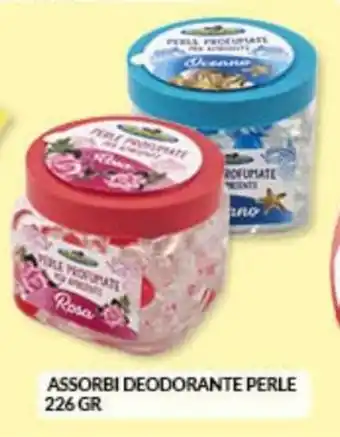 Risparmio Casa Perle Assorbi Deodorante 226 gr offerta