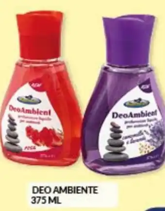 Risparmio Casa Risparmio Casa Deo Ambiente 375 ml offerta