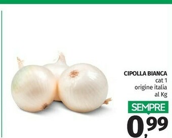 Pam Cipolla Bianca offerta
