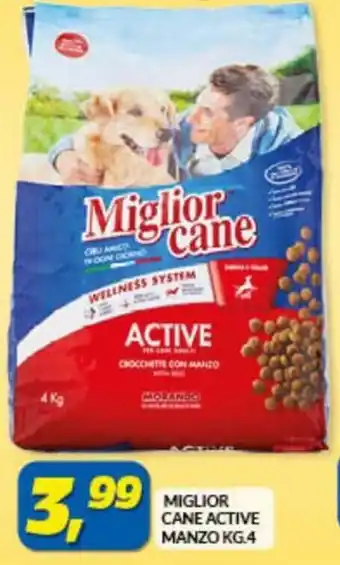 Risparmio Casa Miglior Cane Active Manzo 4 kg. offerta