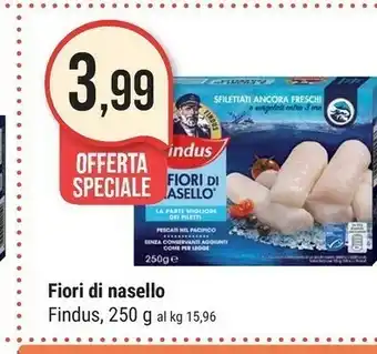 Supermercati Gulliver Findus Findus - 5 Fiori di Nasello 250 g(ml) offerta