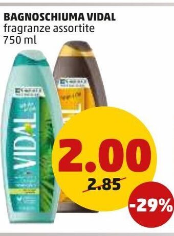 PENNY Bagnoschiuma vidal offerta