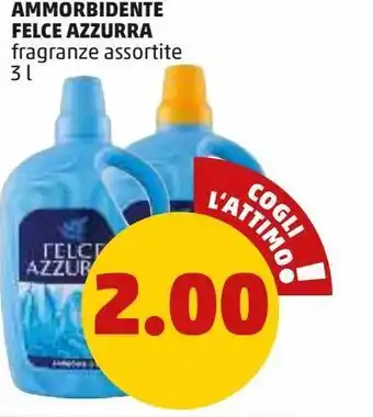 PENNY Ammorbidente felce azzurra offerta