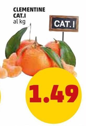 PENNY Clementine offerta