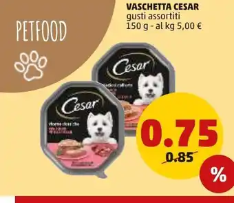 PENNY Vaschetta cesar offerta