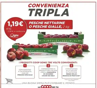Coop Pesche Nettarine O Pesche Gialle offerta