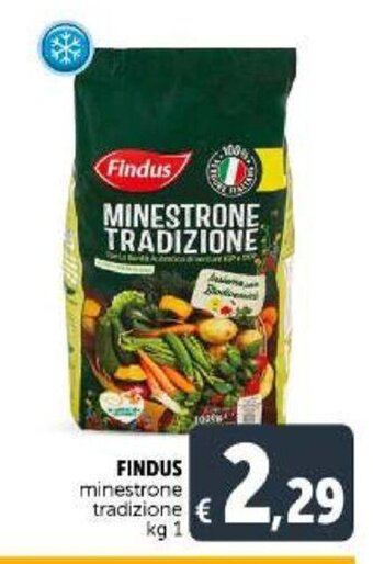 Deco Supermercati Findus minestrone tradizione kg 1 offerta