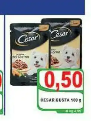 Cesar Cibo per cani