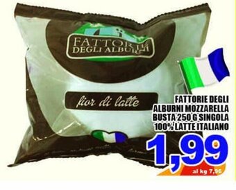 Sacoph Fattorie Degli Alburni Mozzarella Busta 250 g Singola 100% Latte Italiano offerta