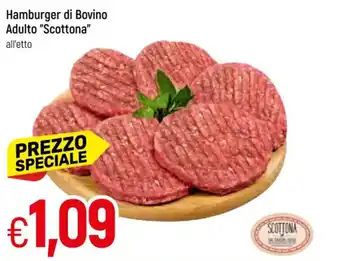 Galassia Hamburger di Bovino Adulto "Scotona" offerta