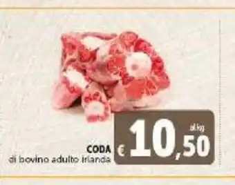 Deco Supermercati Coda di bovino adulto irlanda offerta