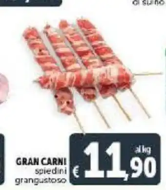 Gran Carni spiedini grangustoso