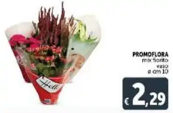 Deco Supermercati Promoflora mix fiorito vaso e cm 10 offerta