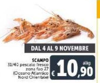 Deco Supermercati Scampo 31/40 pescato fresco zona fao 27 offerta