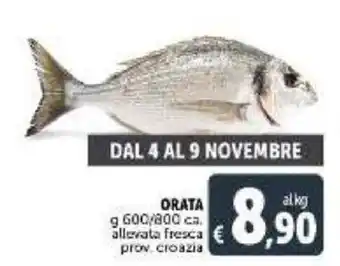 Deco Supermercati Orata g 600/800 ca. allevata fresca prov. croazia offerta