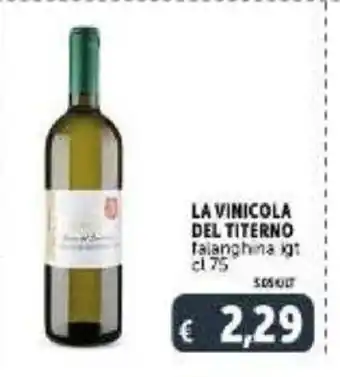 Deco Supermercati La Vinicola Del Titerno falanghina igt 75 cl offerta