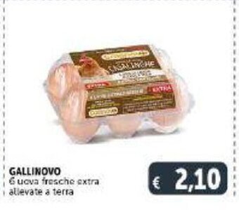 Deco Supermercati Gallinovo 6 uova fresche extra allevate a terra offerta