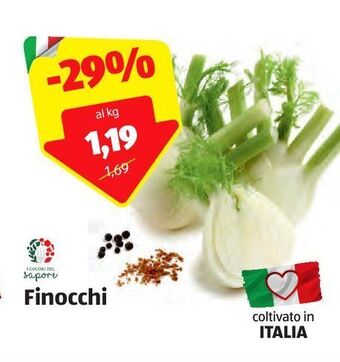 Finocchi