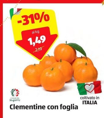ALDI Clementine con foglia offerta