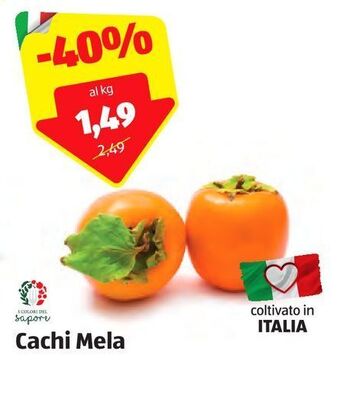 ALDI Cachi mela offerta