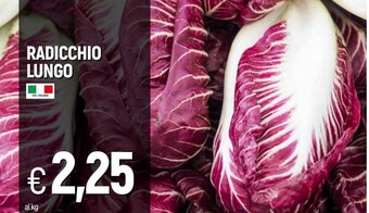 IperFamila Radicchio Lungo offerta