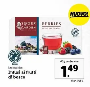 Lidl Infusi ai frutti di bosco offerta