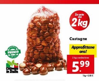 Lidl Castagne offerta