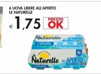 Bennet 6 uova libere all''aperto le naturelle offerta