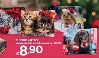 Bennet Cuscino arredo offerta
