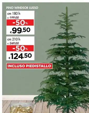 Bennet Pino windsor lusso offerta