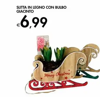 Bennet Slitta in legno con bulbo giacinto offerta