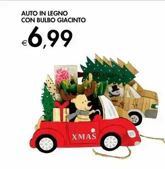 Bennet Auto in legno con bulbo giacinto offerta