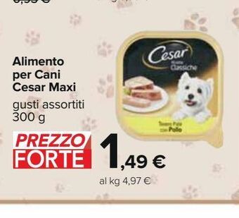 Carrefour Iper Alimento per cani cesar maxi offerta