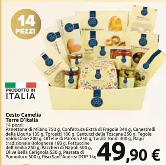 Carrefour Iper Cesto camelia terre d'italia offerta