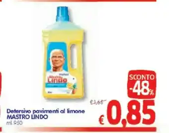 A&O Mastro lindo Pulizia pavimenti offerta