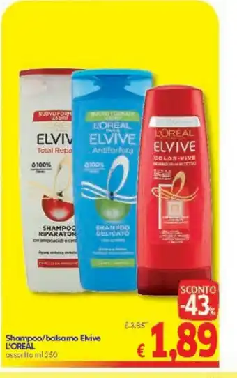 A&O L'Oreal Shampoo offerta