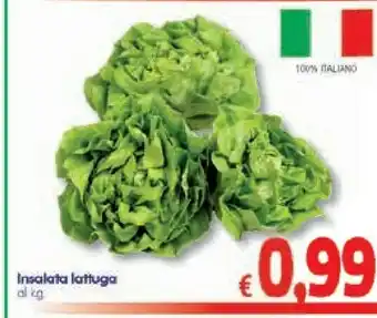 A&O Lattuga offerta