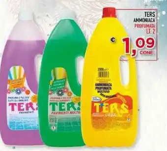Ters Ammoniaca 2 lt.