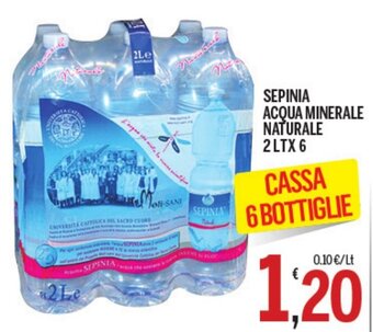 Sepinia Acqua Minerale Naturale 2 lt x 6