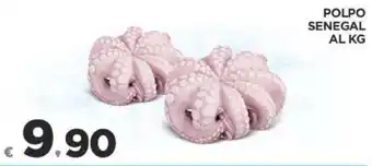 Deco Supermercati Polpo Senegal offerta