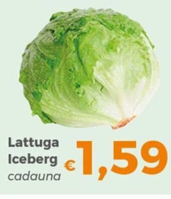 Lattuga Iceberg cadauna