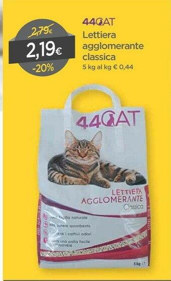 DPiù Lettiera per gatti offerta