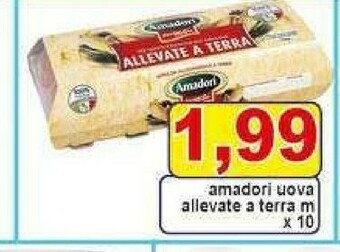 Gros Amadori Uova offerta